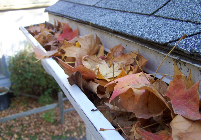 Gutter Screen Installation